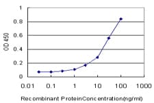Monoclonal Mouse anti-Human CDH4 / R Cadherin Antibody (clone 2E2, WB)