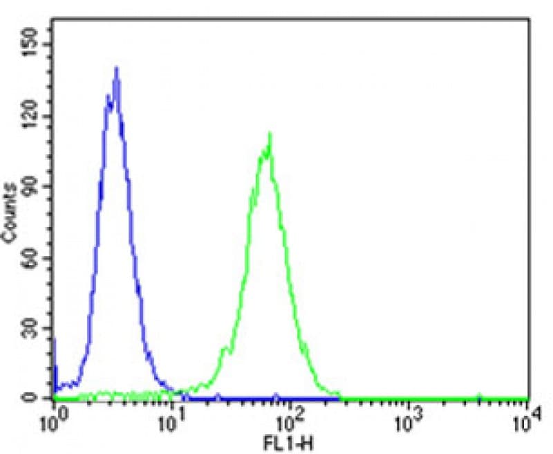 NTRK3 / TRKC Antibody (aa393-426)
