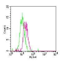 TLR7 / CD287 Antibody (aa706-728, FITC)
