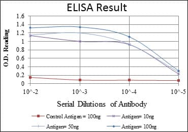 CDK1 / CDC2 Antibody (clone 2G9)