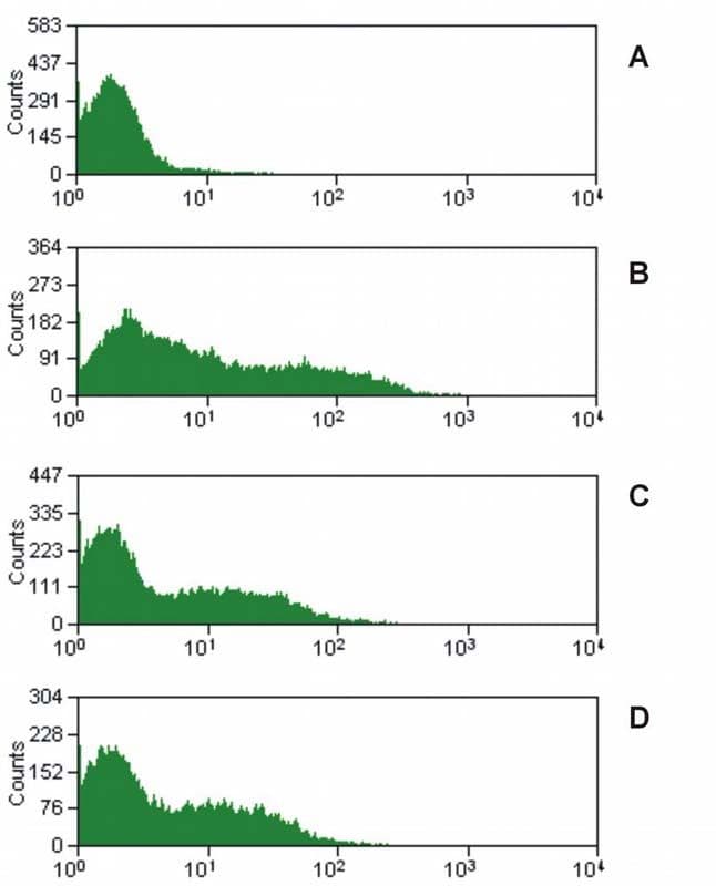 CD16 Antibody (clone MEM-168)