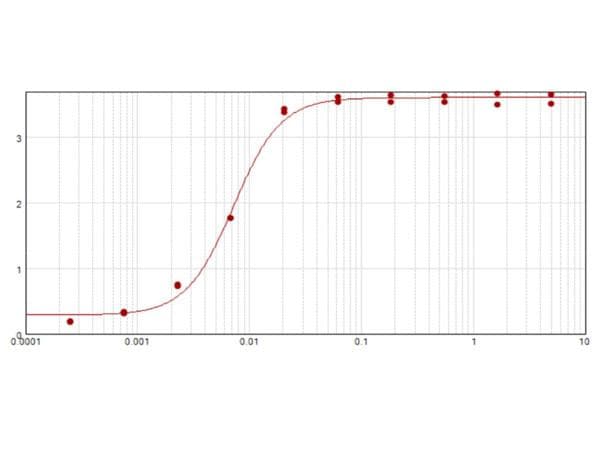 Goat Anti-Rabbit IgG Secondary Antibody (HRP)