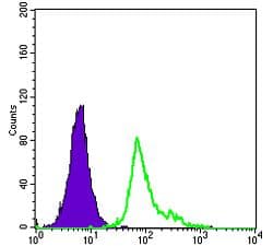 CD105 Antibody (clone 3A9)
