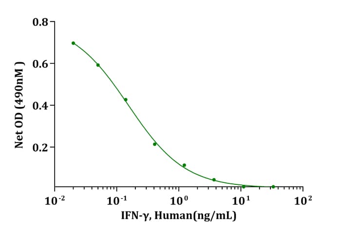 Human IFN Gamma / Interferon Gamma Protein (Recombinant)