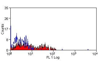 Monoclonal Mouse anti-Human NK1 / CD160 Antibody (clone BY55)