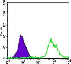 Monoclonal Mouse anti-Human CD247 / CD3 Zeta Antibody (clone 4B10, IHC, IF, WB)