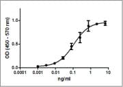 Mouse IL12 (p70) Protein (Recombinant)