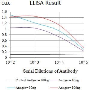 Monoclonal Mouse anti-Human IL10RB Antibody (clone 1D12C12, WB)