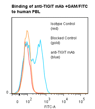 TIGIT Antibody (clone ANCTG6/10A6)