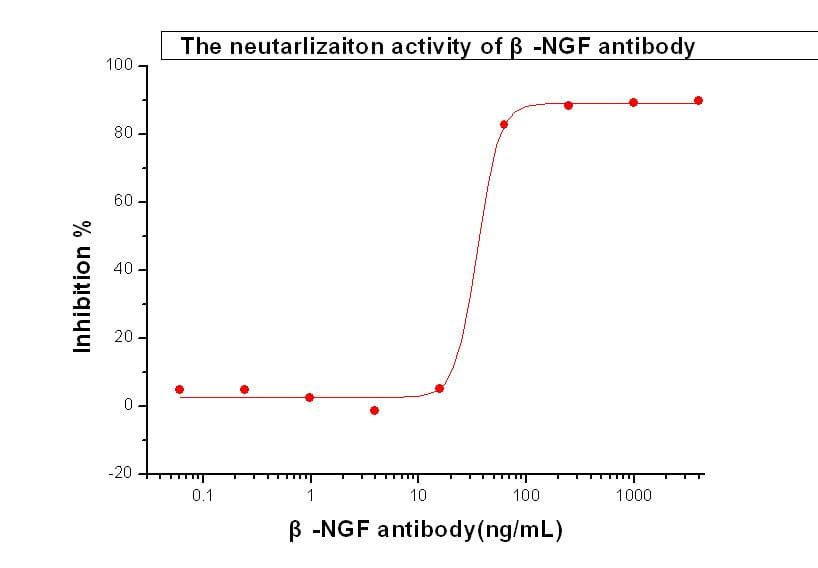 Monoclonal Rabbit anti-Human NGF Antibody (clone RC6, Preservative Free)
