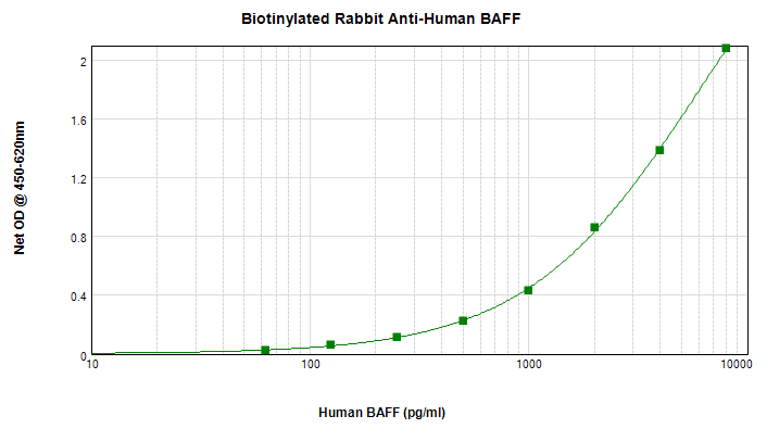 Polyclonal Rabbit anti-Human BAFF / TNFSF13B Antibody (Biotin, WB)
