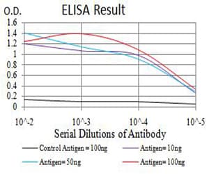 TFAP2A / AP-2 Antibody (clone 2H9B5)