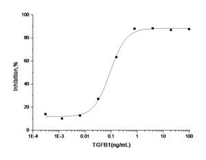 Human TGFB1 / TGF Beta 1 Protein (Recombinant)