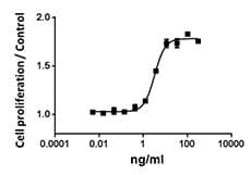 Human IL15 Protein (Recombinant)
