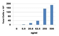 Mouse CX3CL1 / Fractalkine Protein (Recombinant)