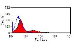 MHC Class II DR Antibody (clone CC108)