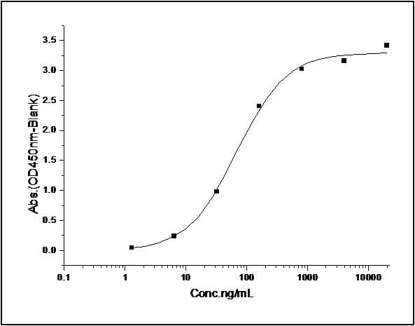 Mouse IL12RB2 Protein (Recombinant His,C-terminus)