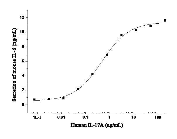 Human IL17 Protein (Recombinant)