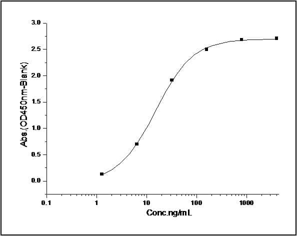 Mouse c-Met Protein (Recombinant Human IgG Fc, C-terminus)