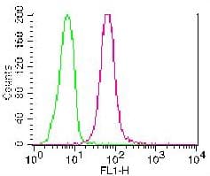 CASP8 / Caspase 8 Antibody (FITC)