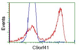 C9orf41 Antibody (clone OTI1E8)