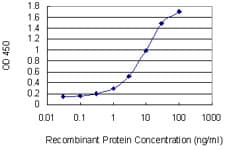 SOS1 Antibody (clone 4C1)