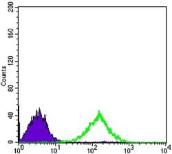 CD69 Antibody (clone 8B6)
