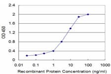FLT3LG / Flt3 Ligand Antibody (clone 4C4)