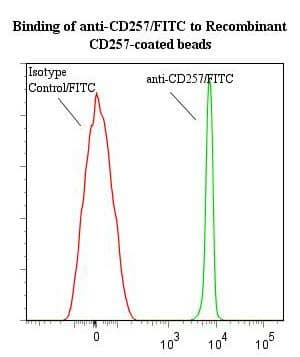 BAFF / TNFSF13B Antibody (clone ANC2H3, FITC)