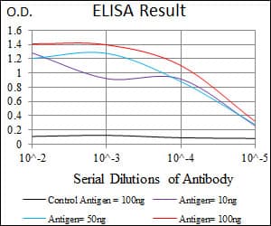 ALDH2 Antibody (aa317-517, clone 4G6A3)