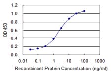 CLGN / Calmegin Antibody (clone 3B5)