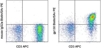 IL6ST / CD130 / gp130 Antibody (clone AN-G30, Biotin)