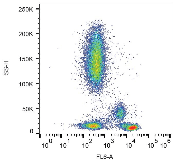 CD4 Antibody (clone MEM-115)