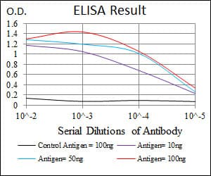 MAP2 Antibody (clone 5B7)