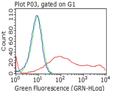 HAVCR2 / TIM-3 Antibody (clone OTI1B10)