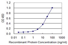 IDH3G Antibody (clone 2A2-1D3)