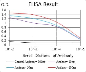 MSH6 Antibody (clone 30)