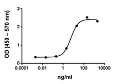 Mouse FLT3LG / Flt3 Ligand Protein (Recombinant)