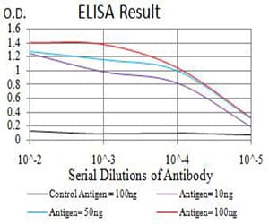 PAK3 Antibody (clone 4G8A5)