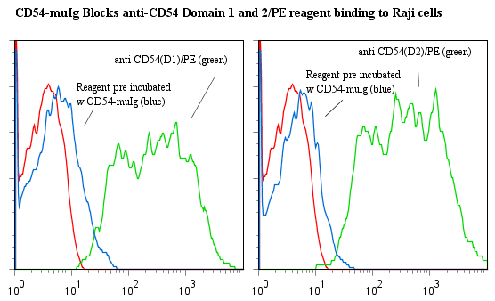 Human ICAM-1 / CD54 Protein (Recombinant)