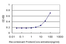 PTPMEG / PTPN4 Antibody (clone 3C8)