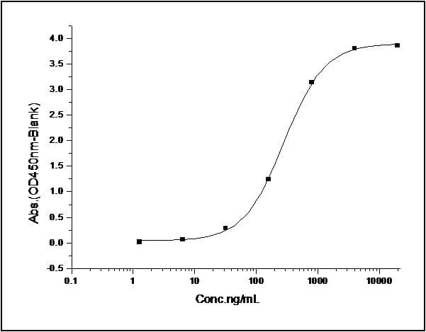Human CD40L Protein (Recombinant Human IgG1 Fc, N-terminus)