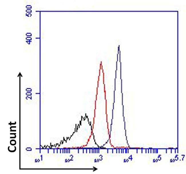 Monoclonal Mouse anti-Human FOXP1 Antibody (clone 6E4C4, Amino Acid: 481-677, WB)