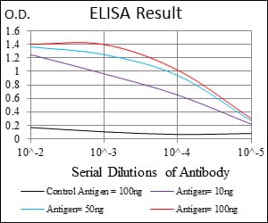 CSPG4 / NG2 Antibody (aa2247-2308, clone 7G4E5)