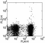 SLAMF1 / SLAM / CD150 Antibody (clone 9D1, Biotin)