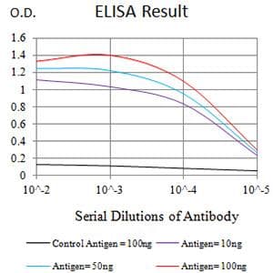Monoclonal Mouse anti-Human PTPRU Antibody (clone 1A6E5, WB)