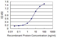 ZNF224 Antibody (clone 2C12)