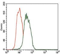 Monoclonal Mouse anti-Human FcERI / Fc Epsilon RI Antibody (clone 1F2A9, Amino Acid: 42-103, WB)