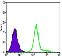 HK1 / Hexokinase 1 Antibody (clone 3A10)