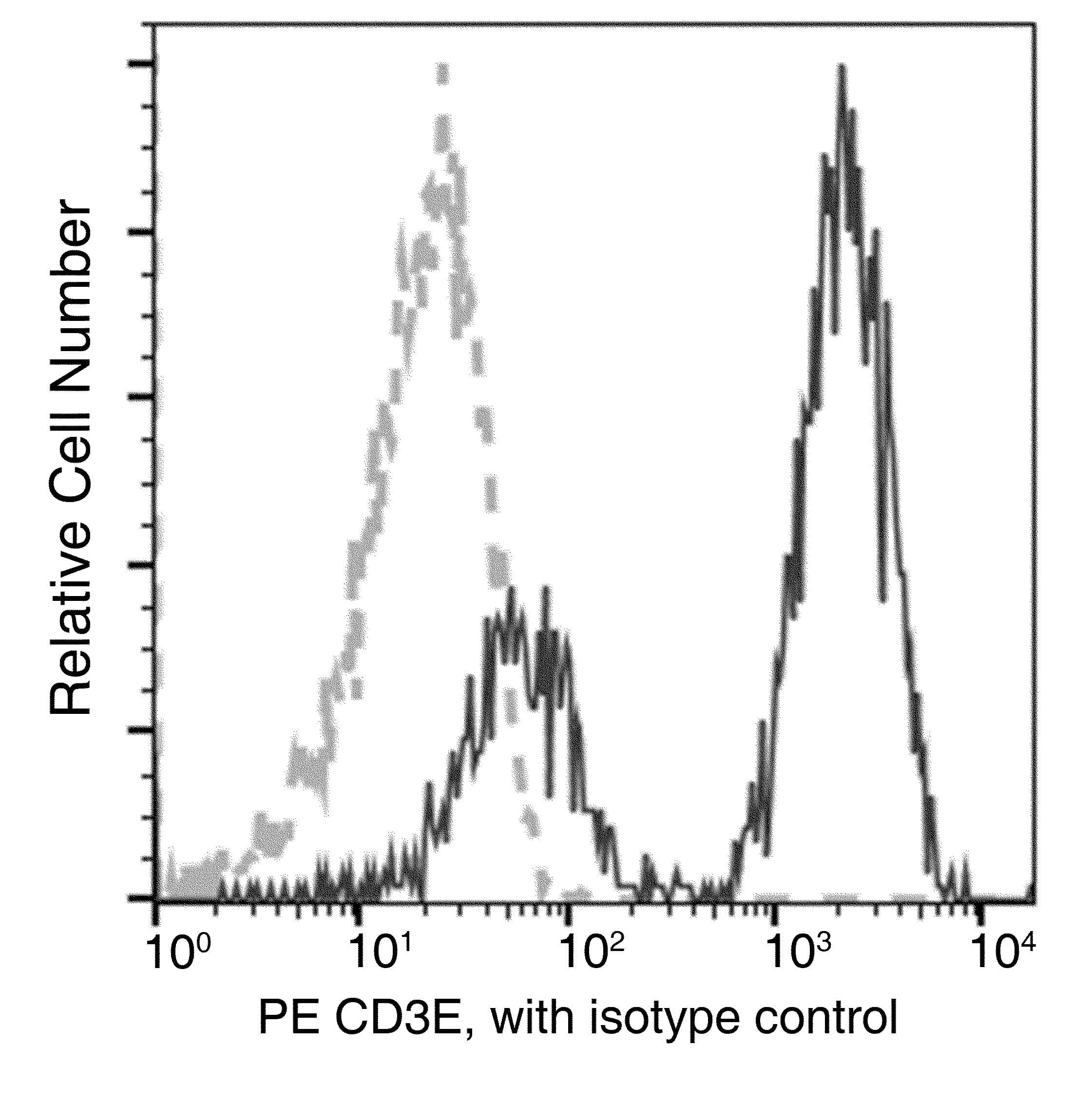 Monoclonal Rabbit anti-Human CD3E + CD3D Antibody (clone 301, PE)